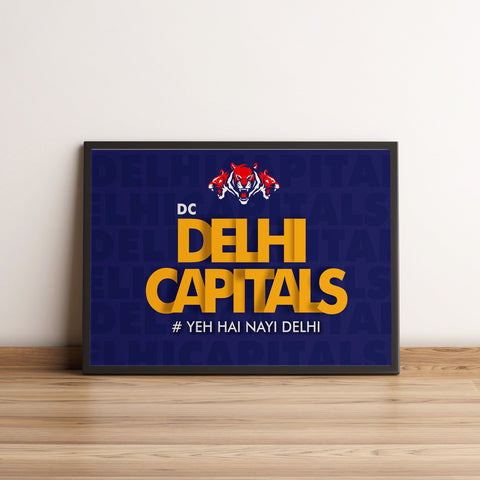 Delhi Capital Nayi Delhi IPL