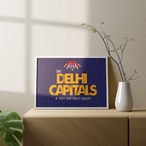 Delhi Capital Nayi Delhi IPL