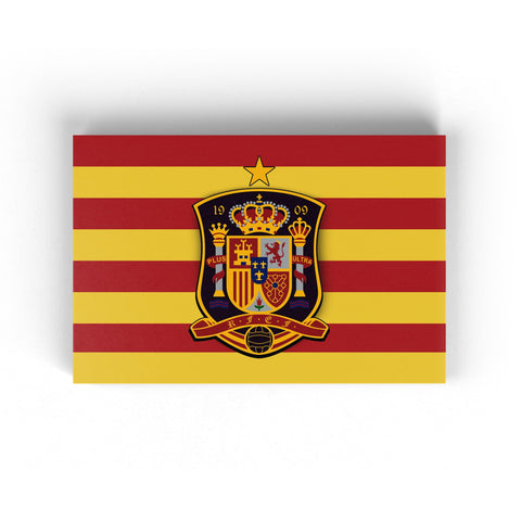 Spain Football Team For Win